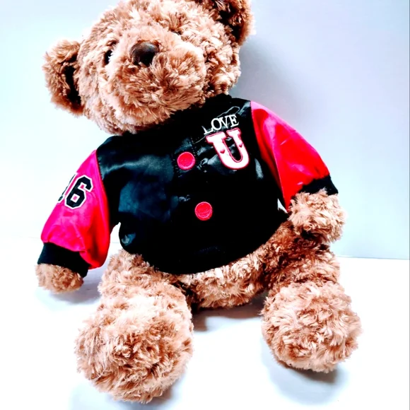 EUC Dan Dee Collector's Plush 17 " Brown Teddy Bear with Love U on the jacket - Picture 5 of 14